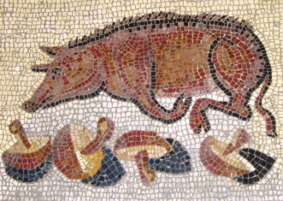 Un mosaico pompeiano raffigurante un maiale 